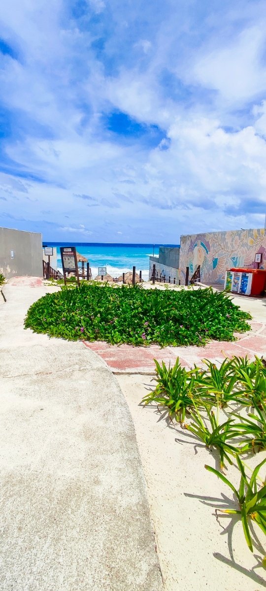 Entrada a la playa con paredes decoradas y un jardín de plantas tropicales. © 2024 Castor Daniel Oregel Maldonado